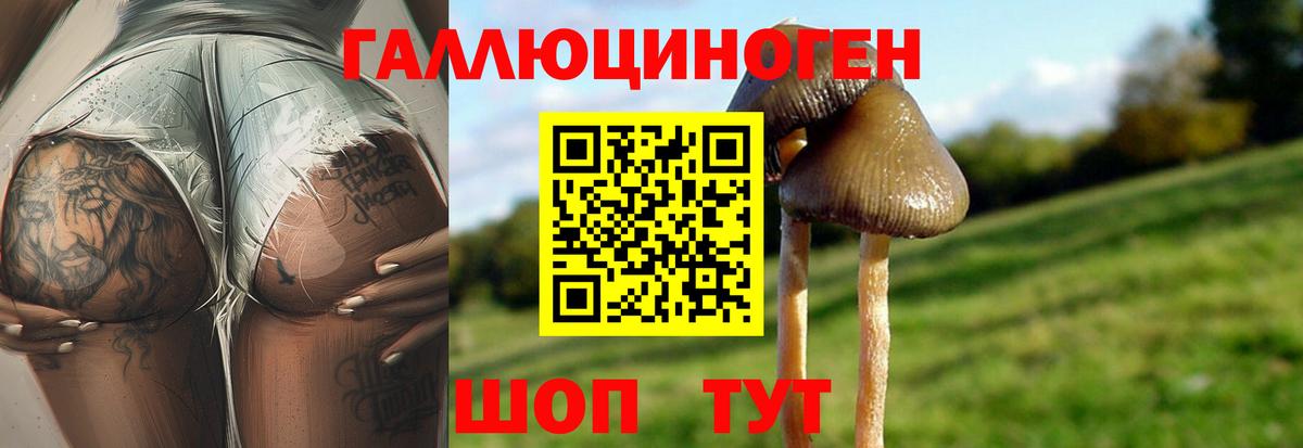где можно купить   Псилоцибиновые грибы мухоморы  Вход с VPN  Миллерово 